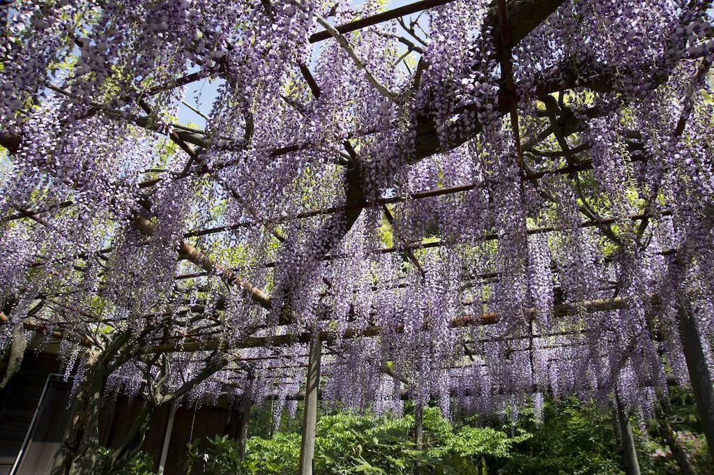 Hotel Nanzanso Izunokuni Esterno foto
